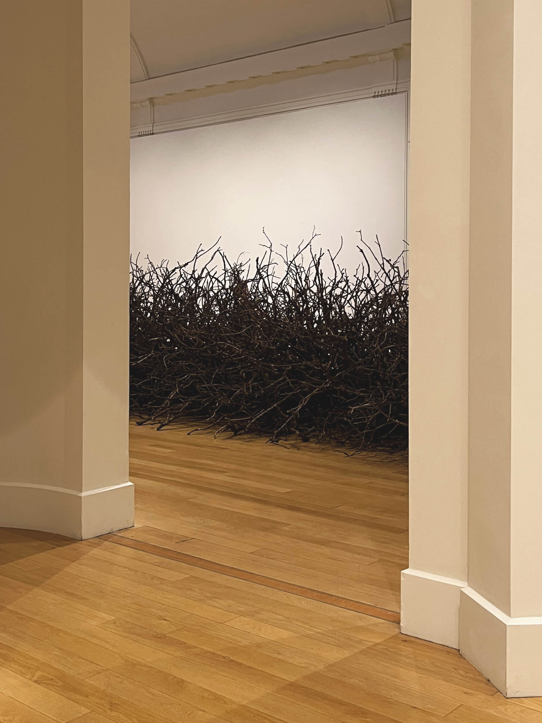 Oak Passage, 2025