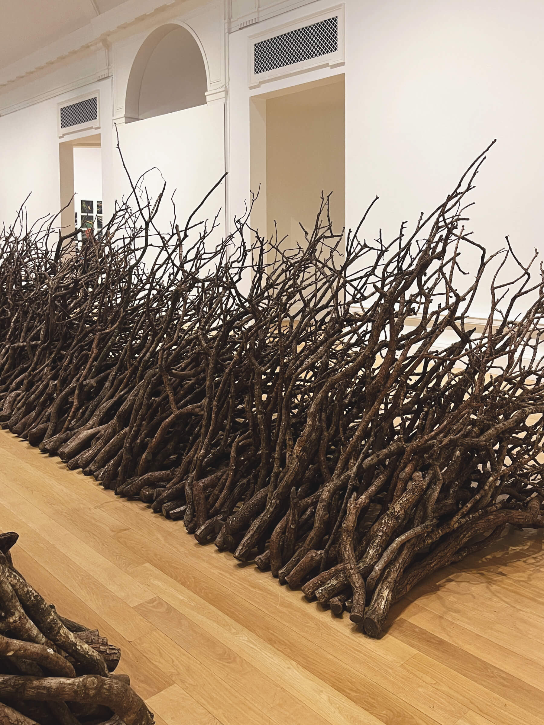 Oak Passage, 2025